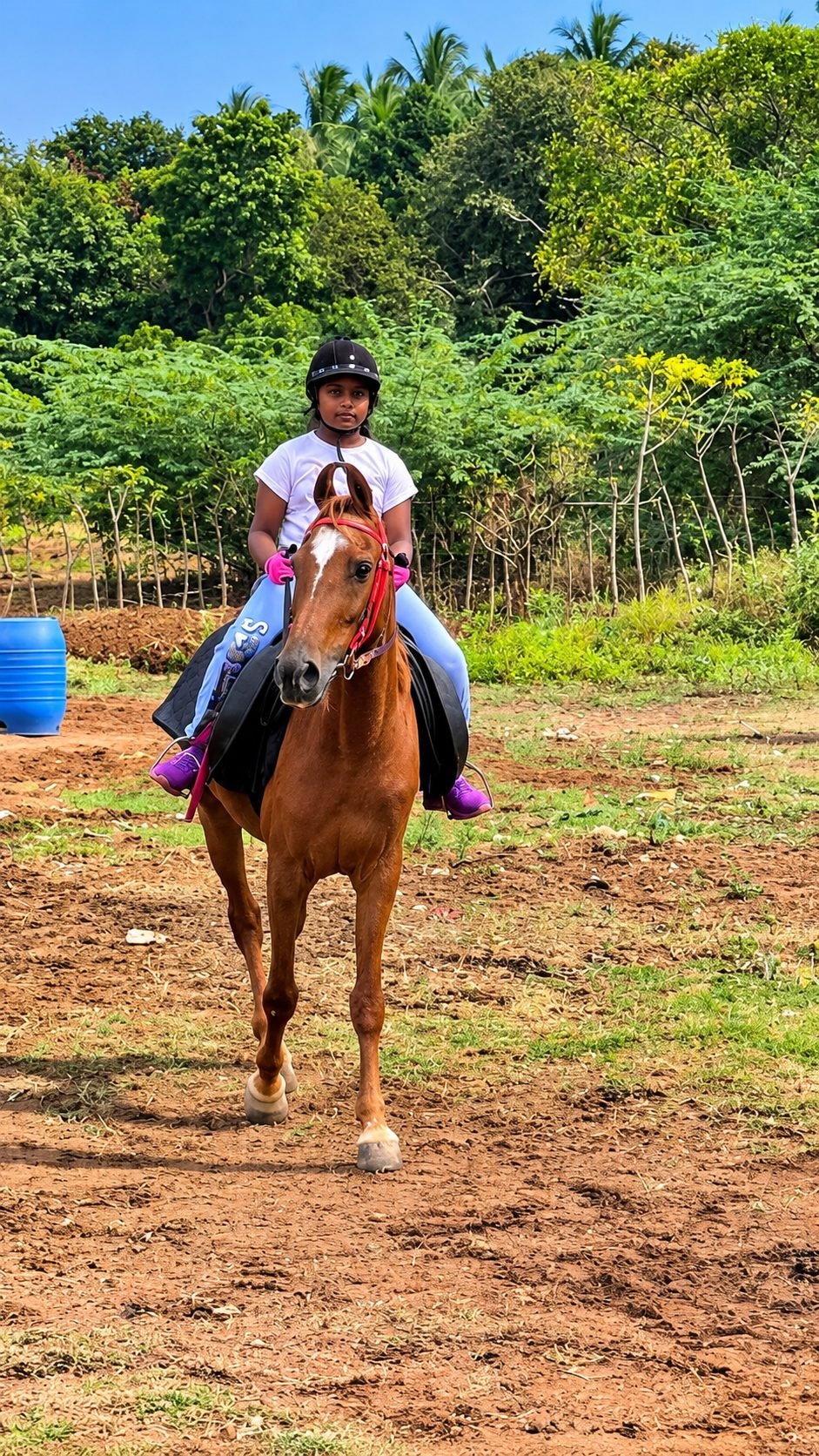 Young rider trotting a horse during a training session in Trichy