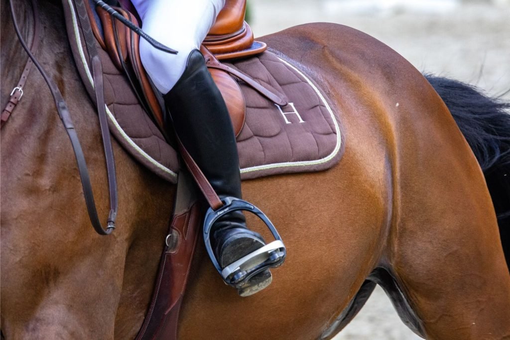 Horse Training in Trichy and Manappari - Shri Surya School of Horsemanship